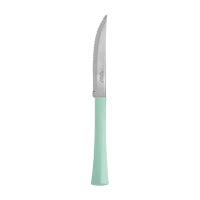 Cuchillo churrasco Inova verde acero inoxidable